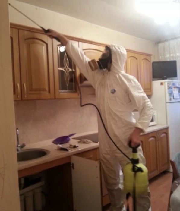 Уничтожим тараканов клопов клещей дезинсееция дератизация