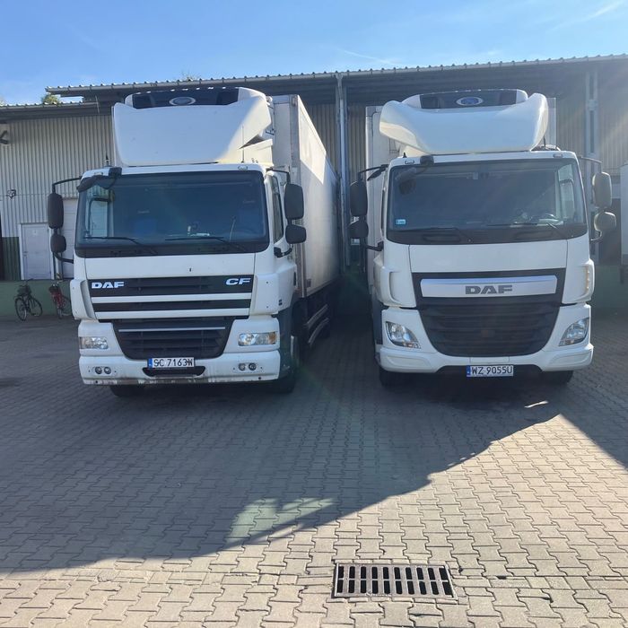 DAF