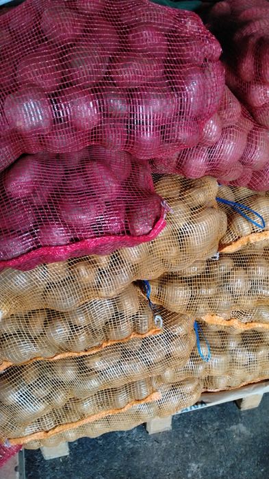 Batata e cebola  Preço Top