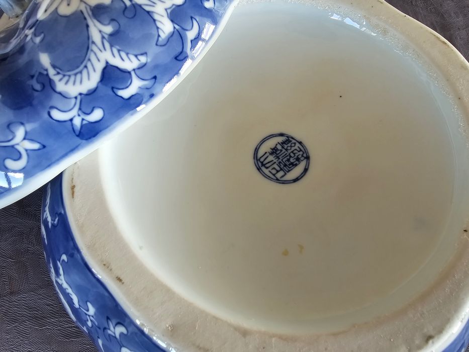 Terrina Azul Asiatica