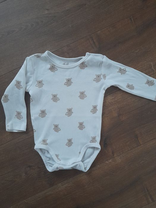 Body misie długi czas HM74