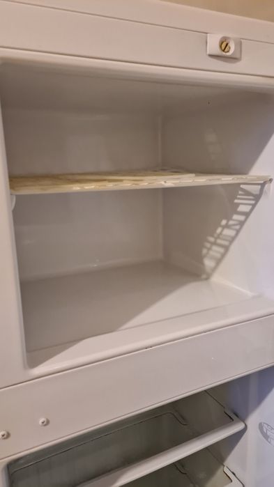 Lodówko zamrażarka Amica