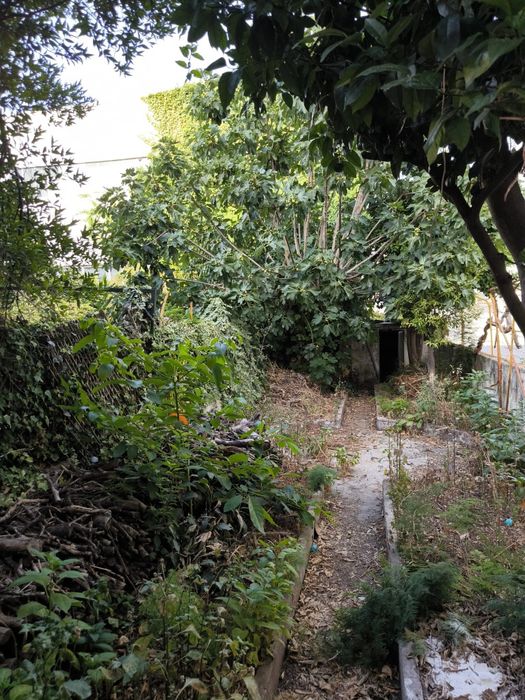Limpeza de Casas com Acumulação de Objetos e Lixo