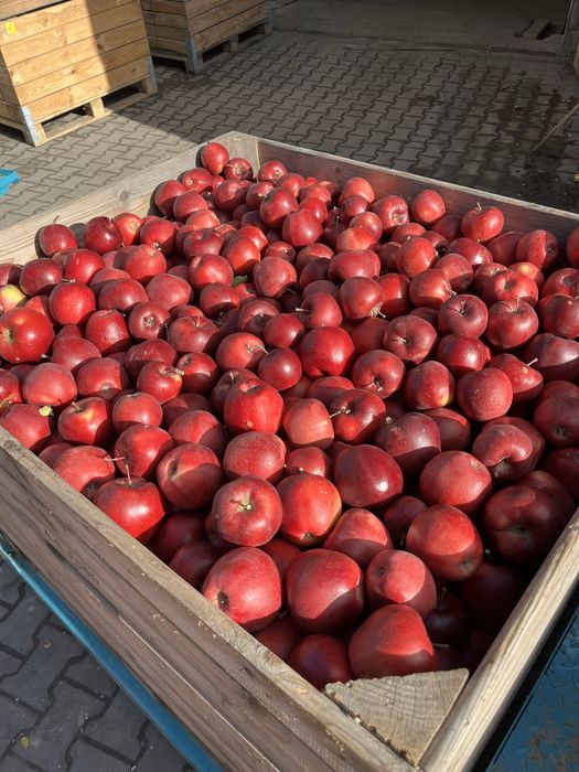 Sprzedam jabłko Prince