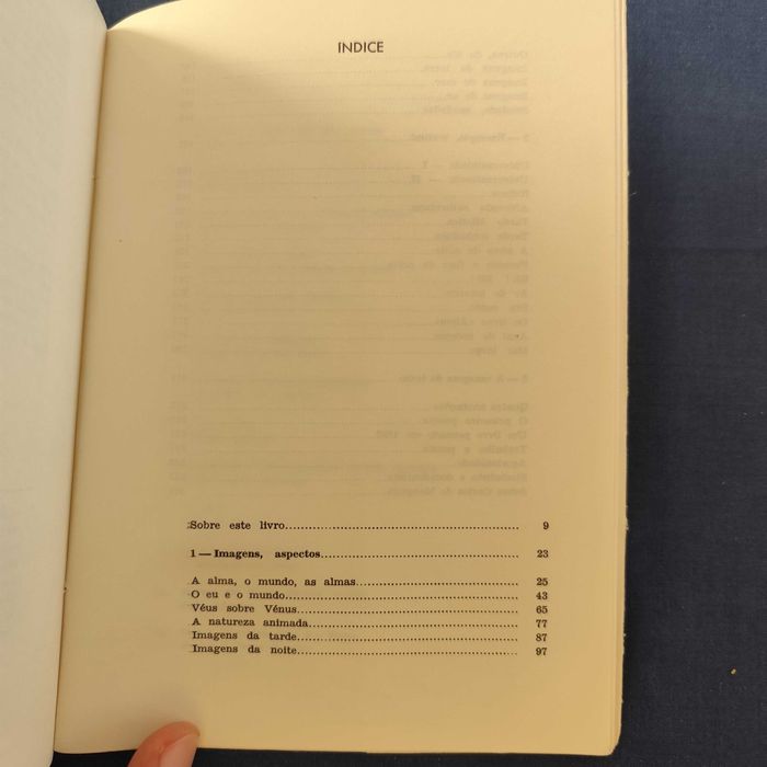 Luís de Miranda Rocha - Para uma introdução a Roberto de Mesquita