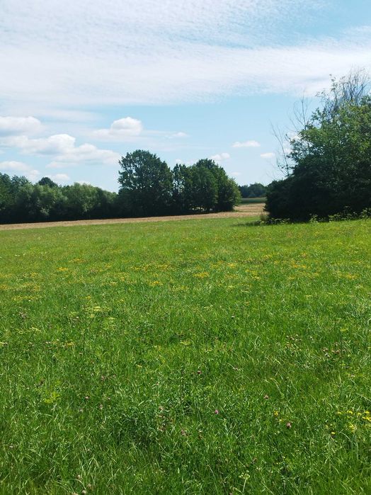 Działka na sprzedaż Sobolew - Widok 2