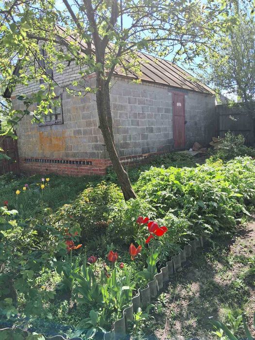 Продам будинок Вільшани/Ольшаны (Солоницевка ОТГ)