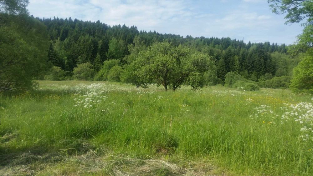 Продаж ділянки з будинком