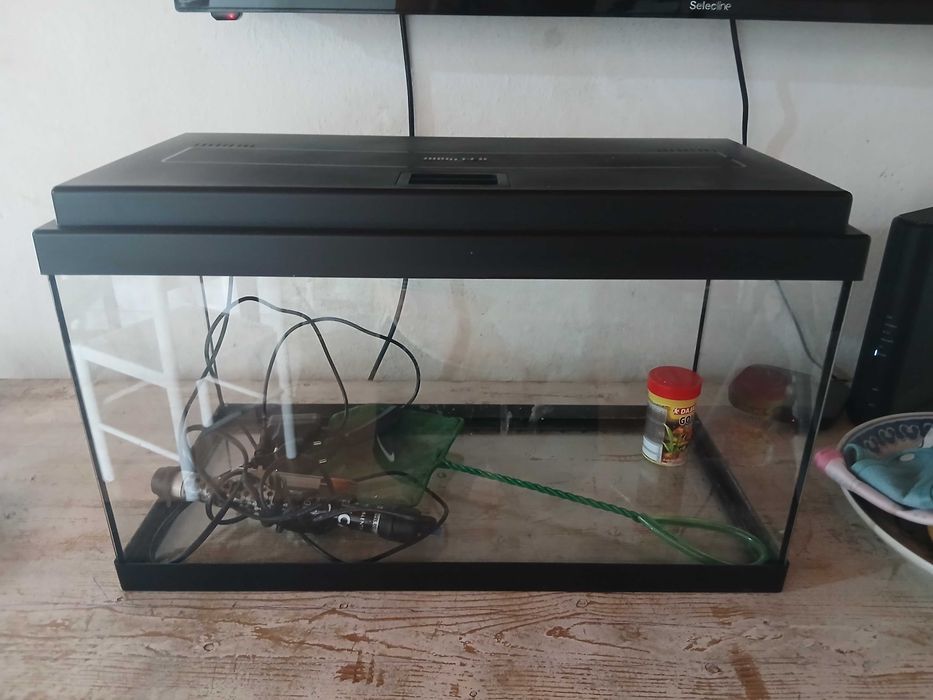 Aquário de peixe