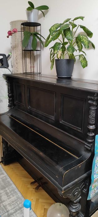 Піаніно “Geister & Schnabel – Liegnitz”