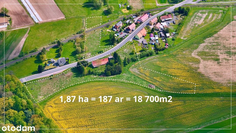Dom z dużym terenem na Pogórzu Izerskim / Lubań / Leśna