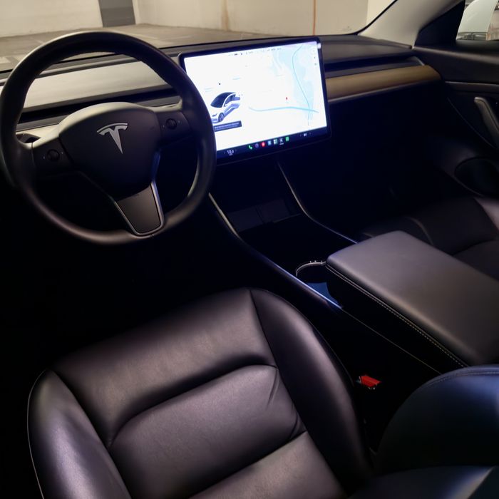 Model 3 standard plus