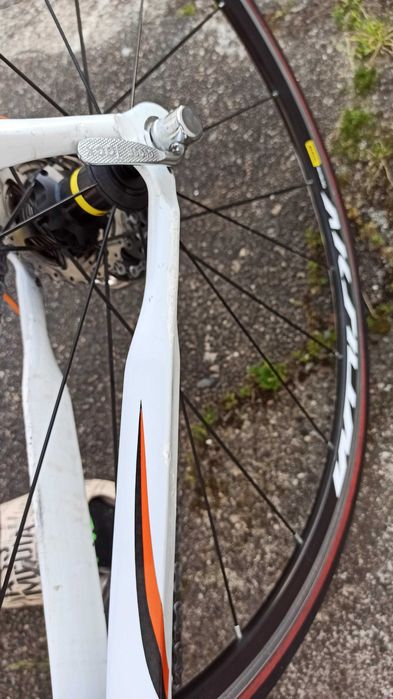 Bicicleta ciclismo Basso