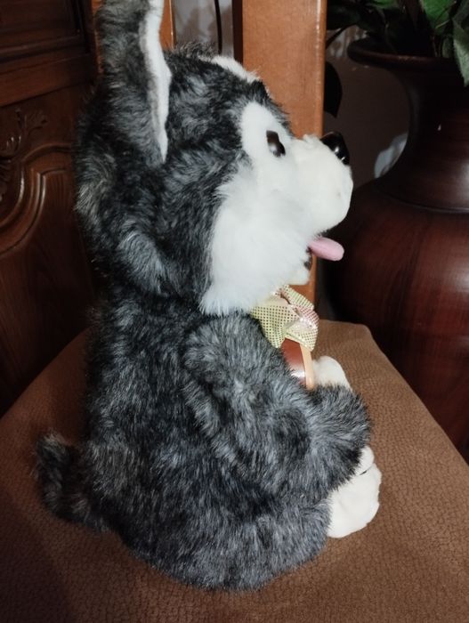 Cão peluche com viola