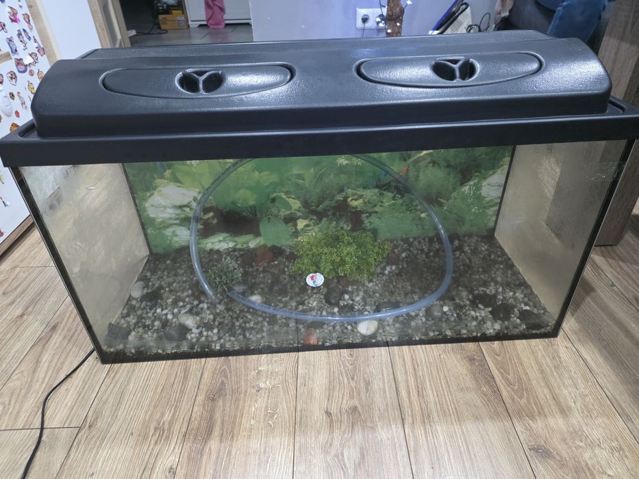 Akwarium 100L 80x40x30