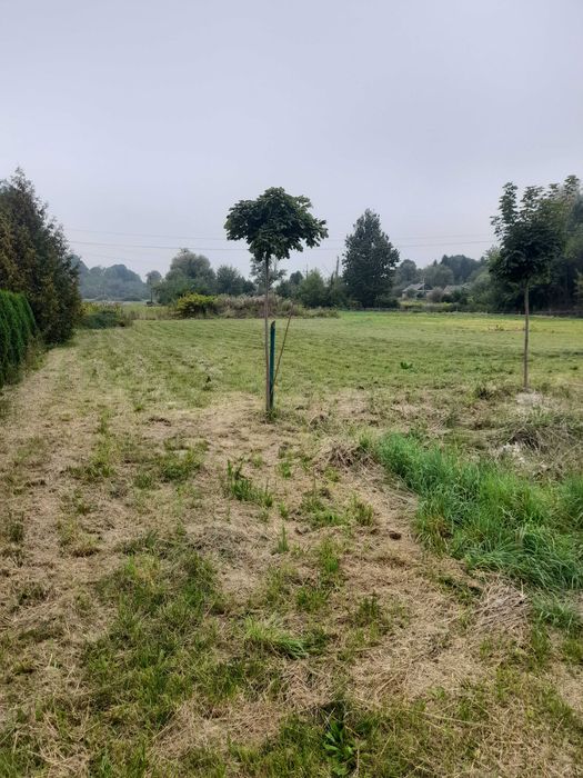 Stacja Paliw (powiat Zamojski)
