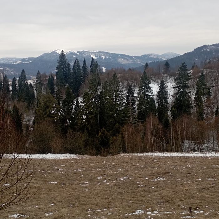 Продається земельна ділянка Славське