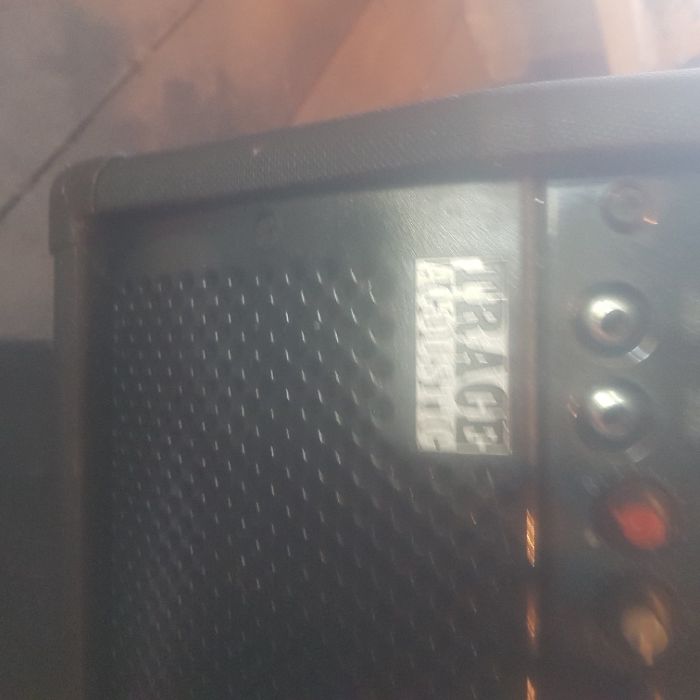 Piecyk Akustyczny Trace eliot TA 100