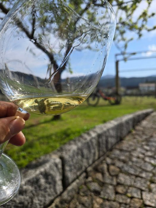 Alvarinho tradicional