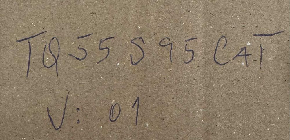 TQ55S95CAT Partes de Televisao