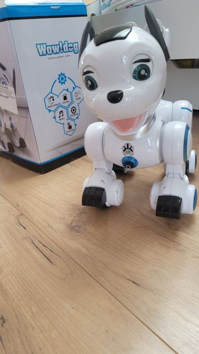 Wow dog. Intelligent dog. Robopies