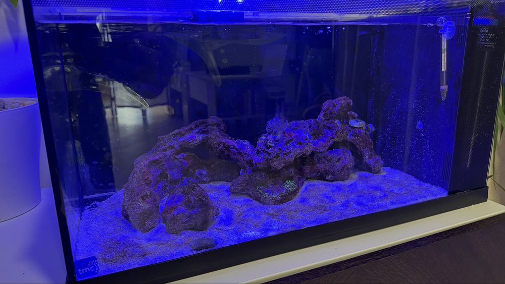 Aquario Marinho Completo 50L