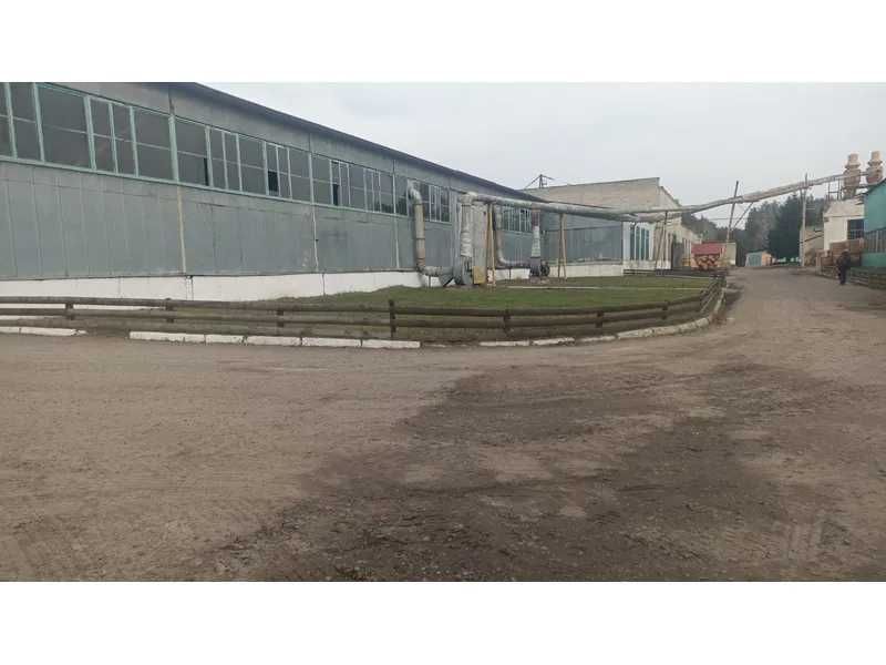 'Продаж майнового комплексу (деревообробка) 267,1 кв. м, вул. Незалежності, 124