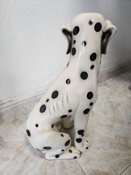 Cão de loiça - dálmata