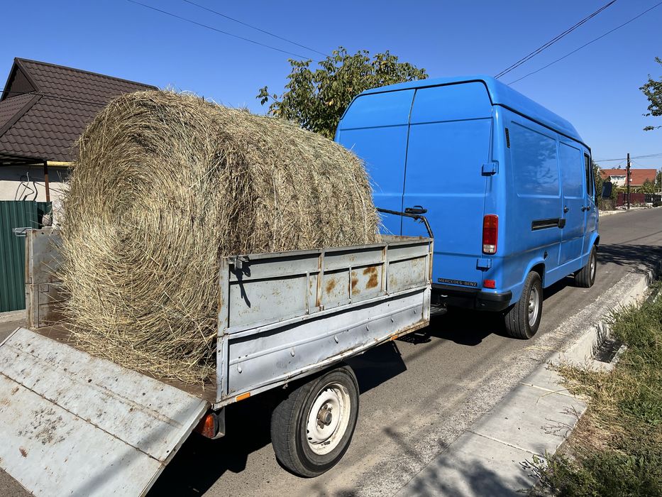 Вантажні Перевезення область та Україна