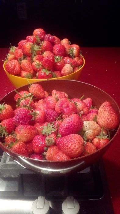 Morangueiro diamante