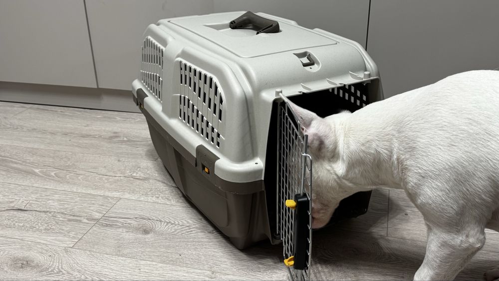 Переноска для собак и кошек Skudo 3