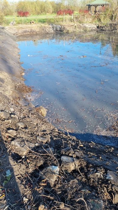 Kopanie stawów, czyszczenie stawów, odmulanie stawów, koparka long