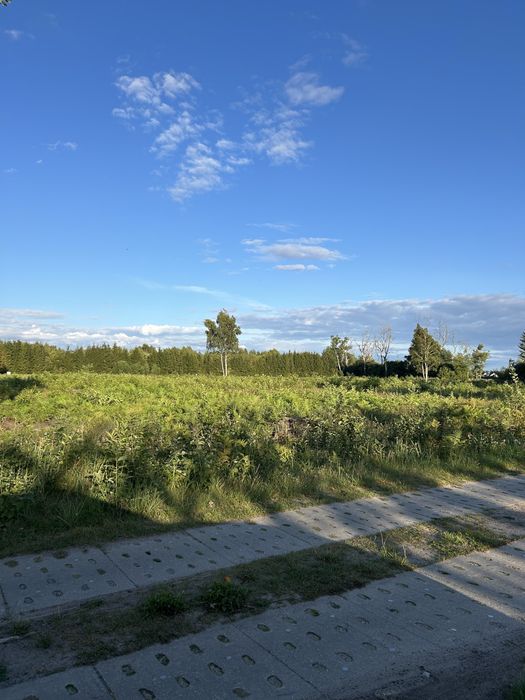Dzialka pod zabudowe - Widok 4