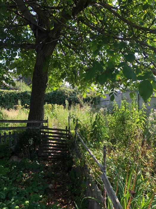 Продаж будинку на ділянці 31 сотка