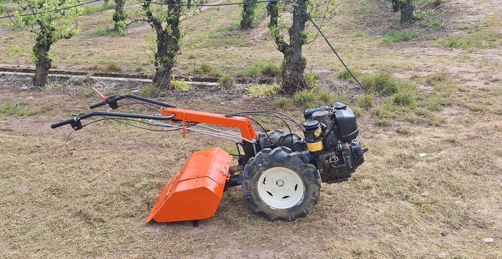 Motocultivador benassi