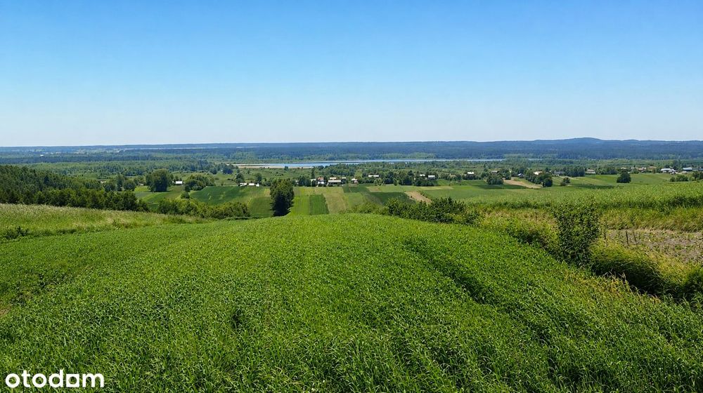 Wspaniała panorama każdego dnia | Działka budowlana 3010 m² Tarnawatka