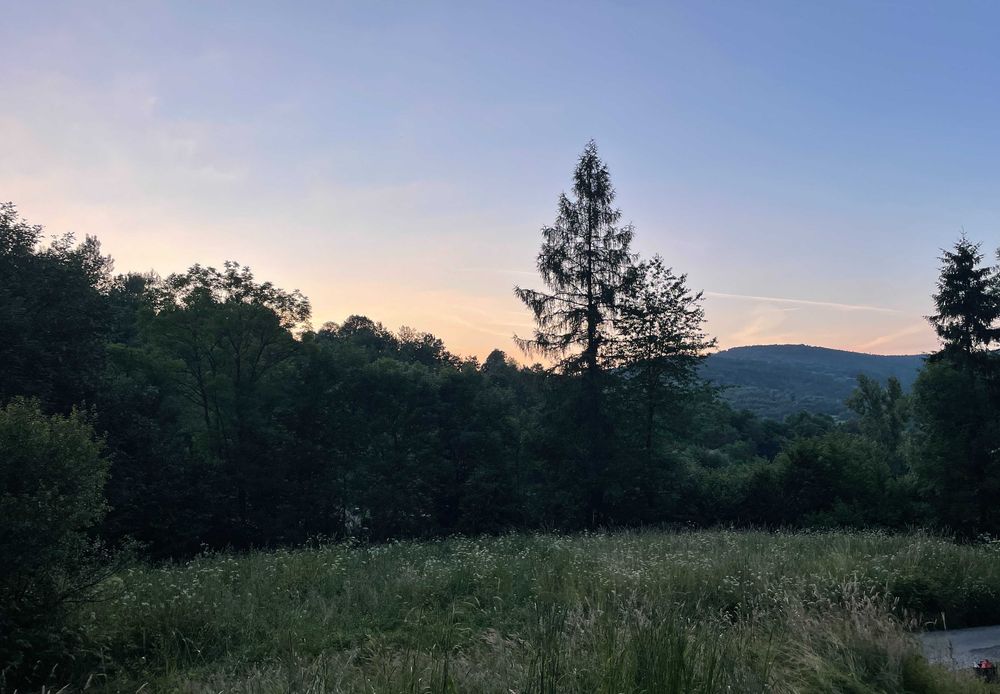 Wyjątkowa działka budowlana z własnym lasem, 32 ary
