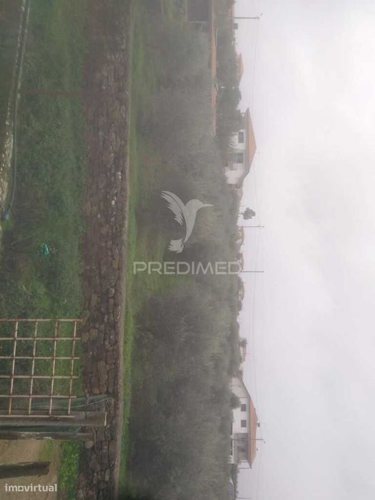 Terrno/Olival com Viabilidade de Construção — Fontelo, Viseu