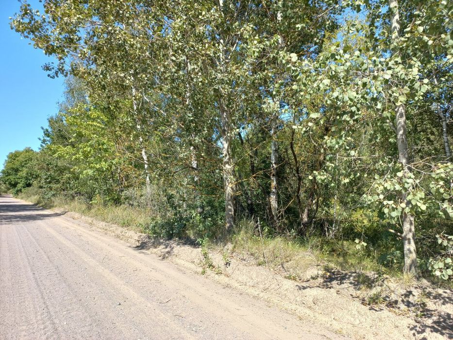 Продаж 10 соток під забудову Дениші(Улянівка)