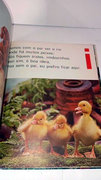 ABC dos Animais Familiares