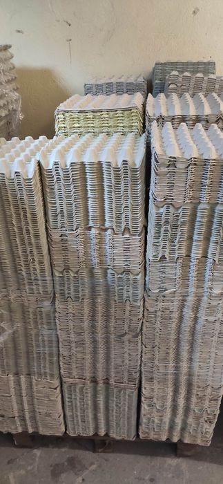 Platonki wytłaczanki 0.12 zł/szt