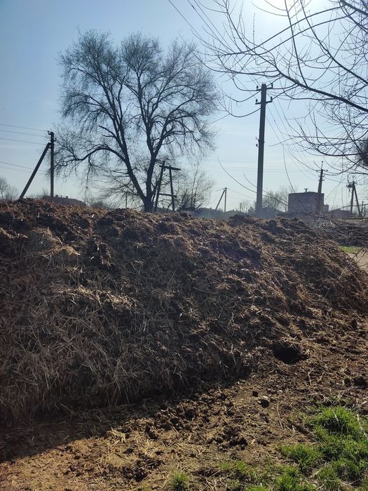 Продам навоз в большом количестве