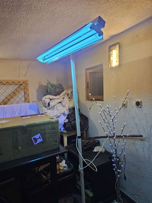 Lampa bakteriobójcza