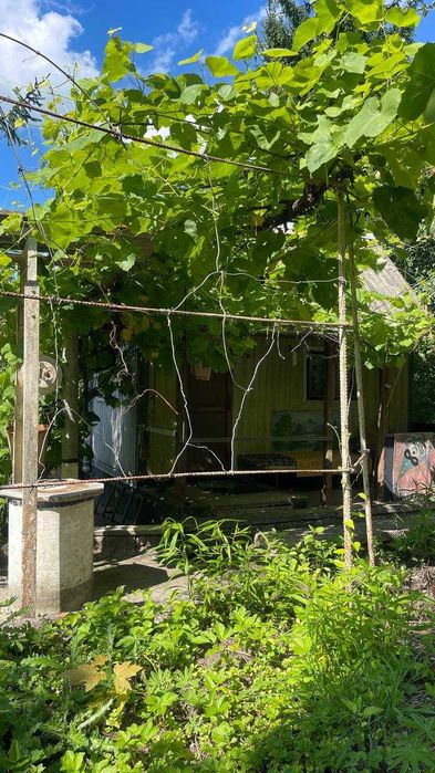 Продаж дачного будинку (Мацьківці) SL