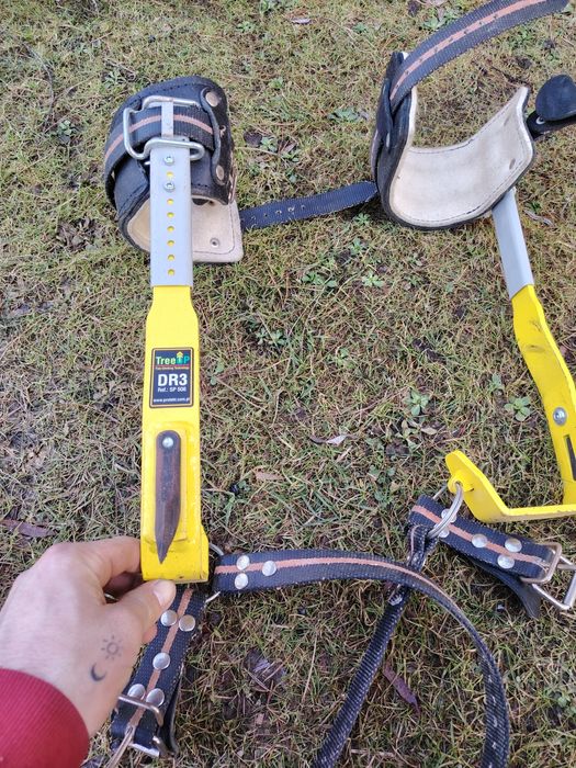 Drzewołazy stalowe  DR3