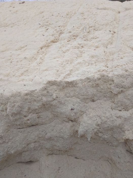 Продам опилки,сосна.