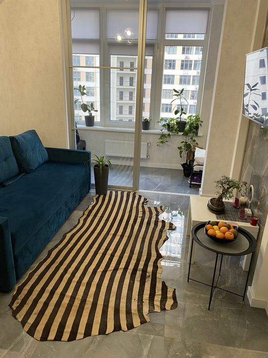 Шкура пони , лошади