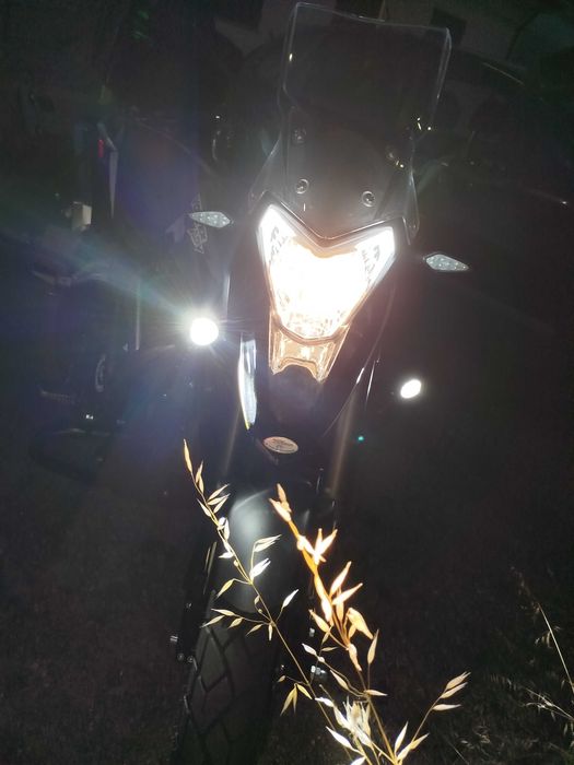 Moto Vortex RXPro