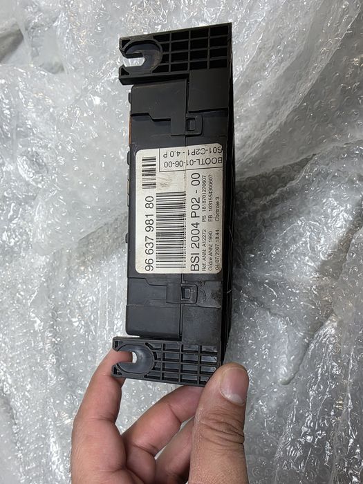 BSI Peugeot & Citroen