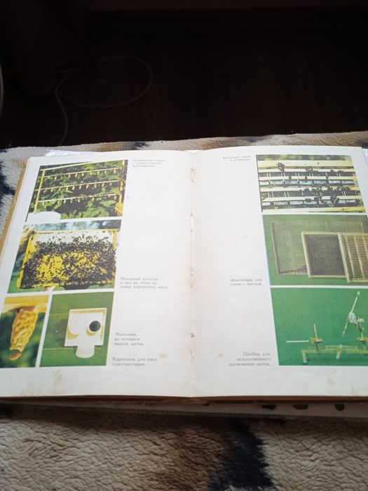 Книга/Карпатские пчели